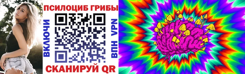 Псилоцибиновые грибы MAGIC MUSHROOMS  сколько стоит  Лаишево 